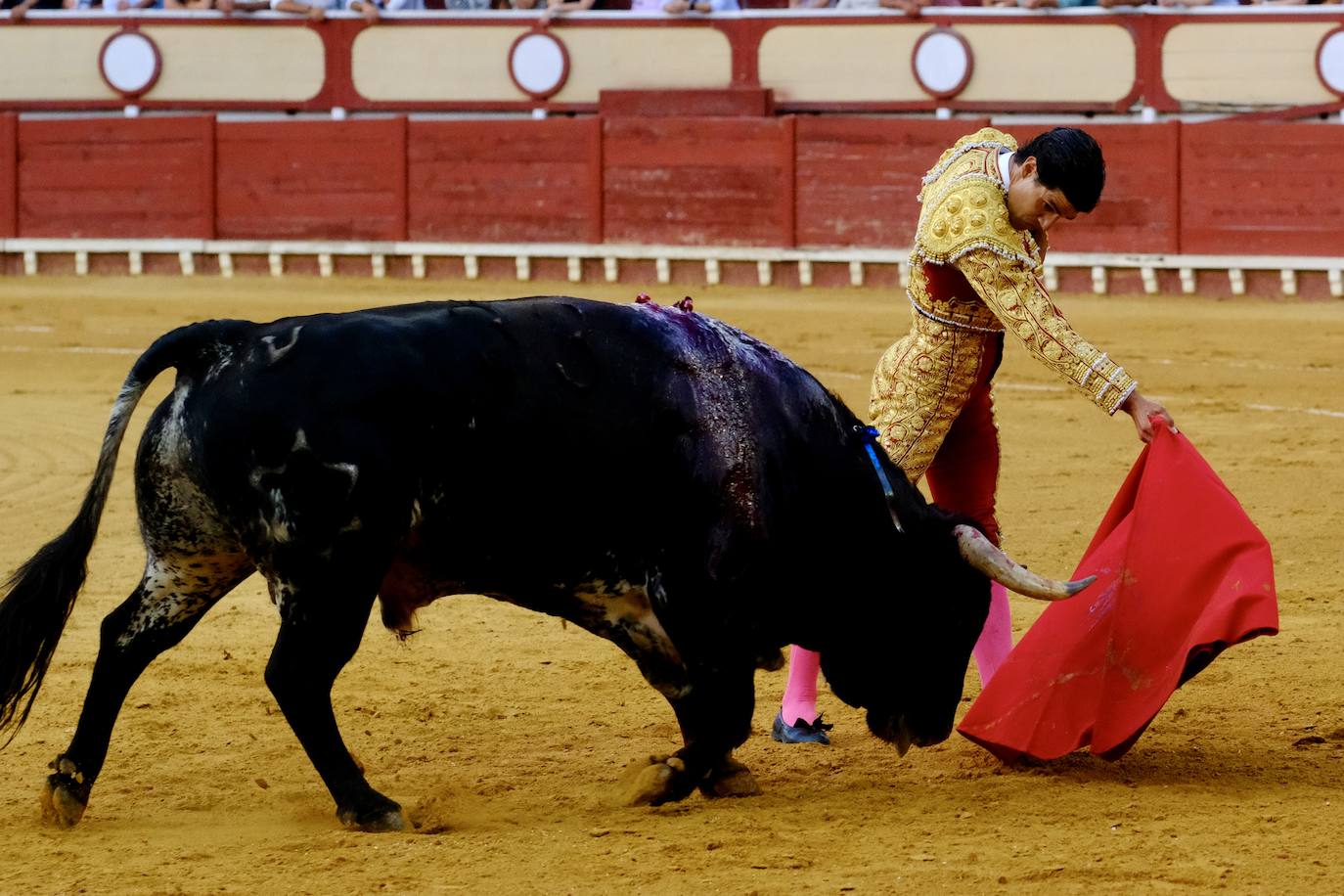 Rotundo triunfo de Manzanares que sale a hombros junto a Aguado en la última corrida del verano en El Puerto