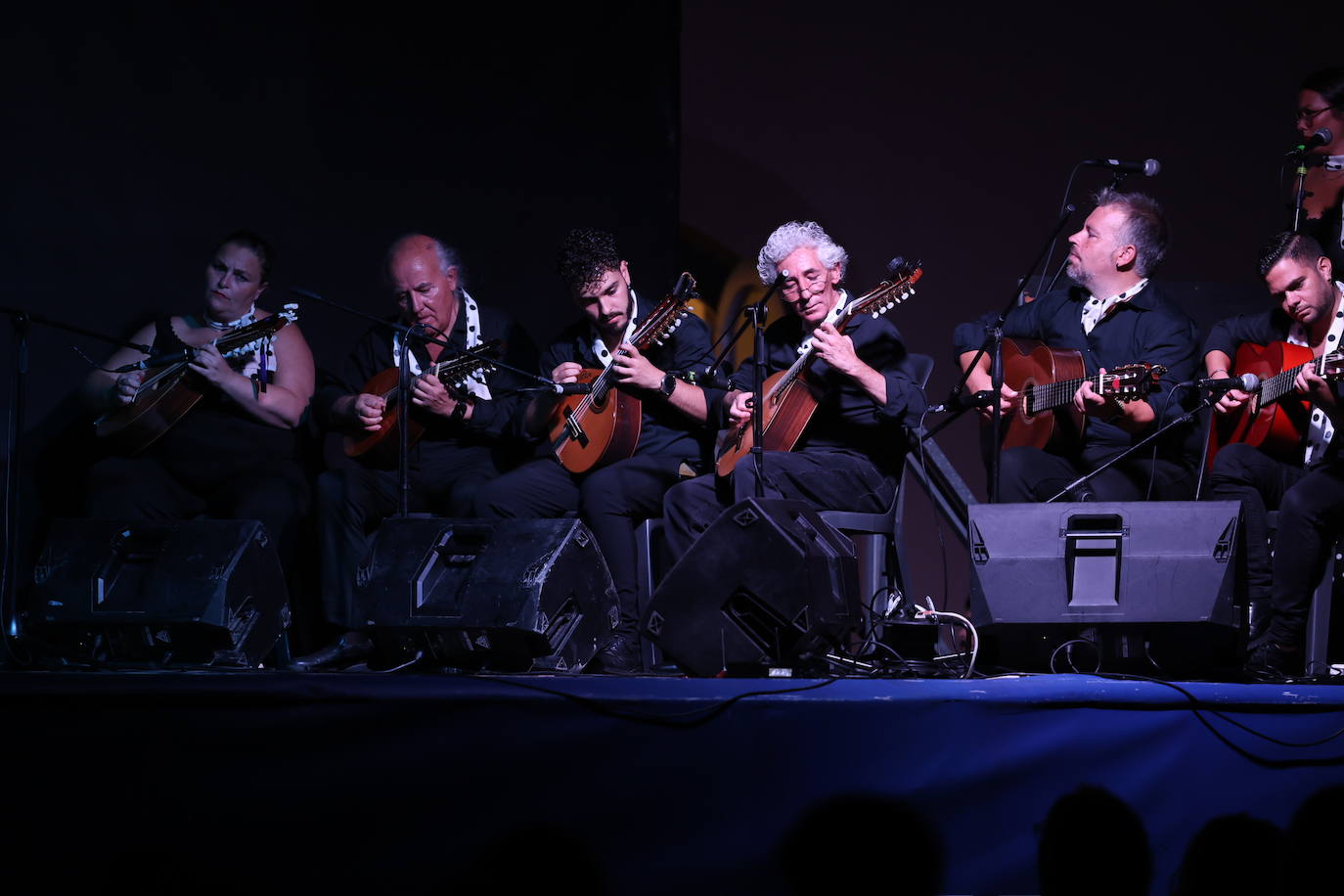 Fotos: Arte a raudales en la gala Solera Gaditana celebrada en el Baluarte de la Candelaria