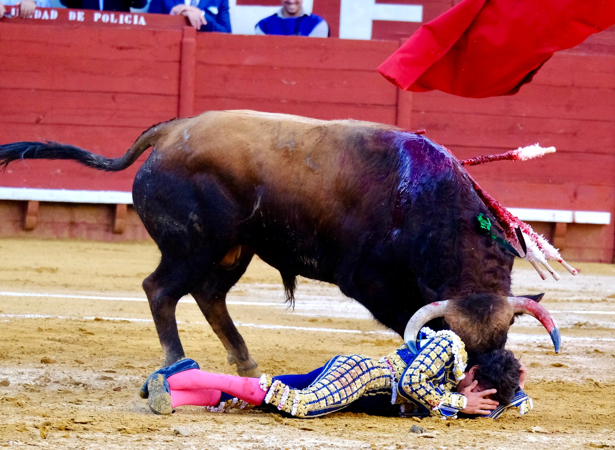 Las imágenes de la tarde de toros en Jerez