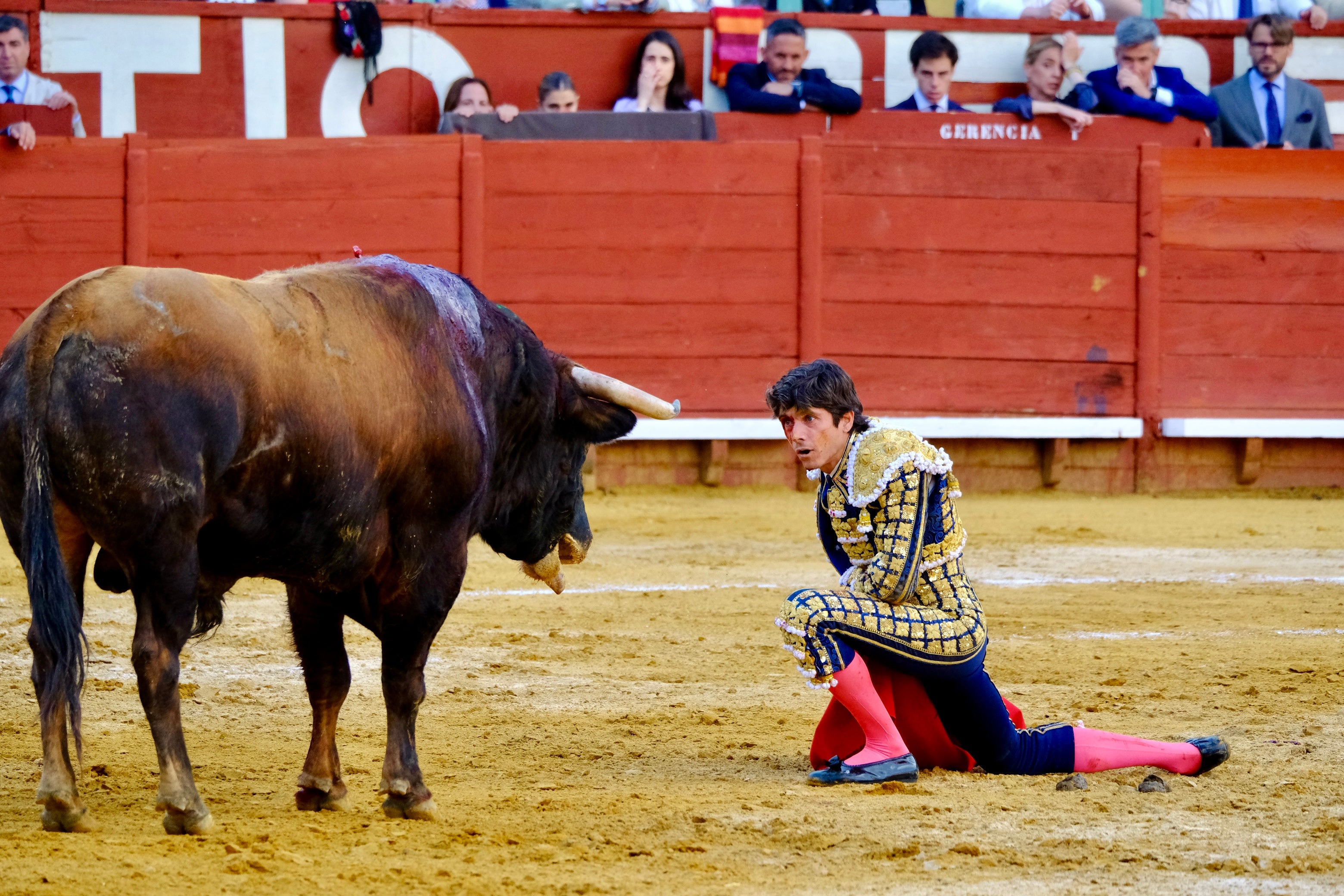 Las imágenes de la tarde de toros en Jerez