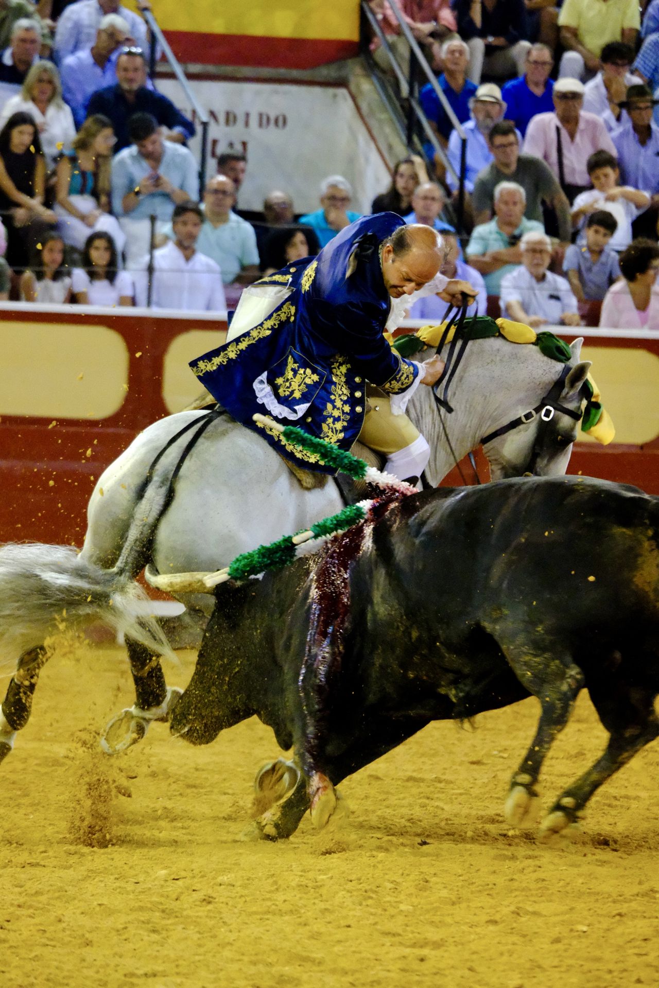 Fotos: Rui Fernandes y Diego Ventura salen a hombros en la nocturna de rejones de El Puerto