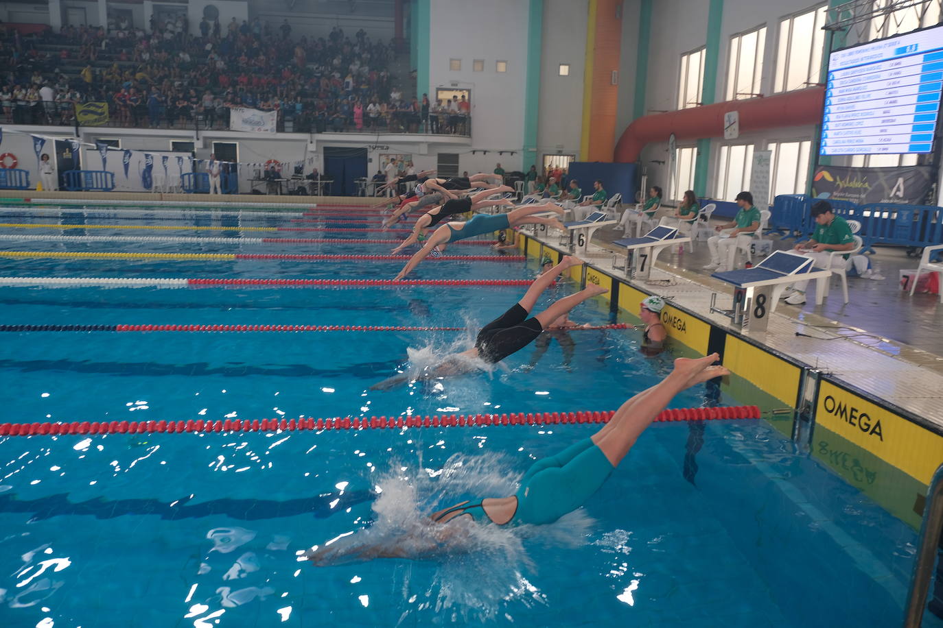 Fotos: Ambiente de gala en el campeonato andaluz de natación que se celebra en Cádiz