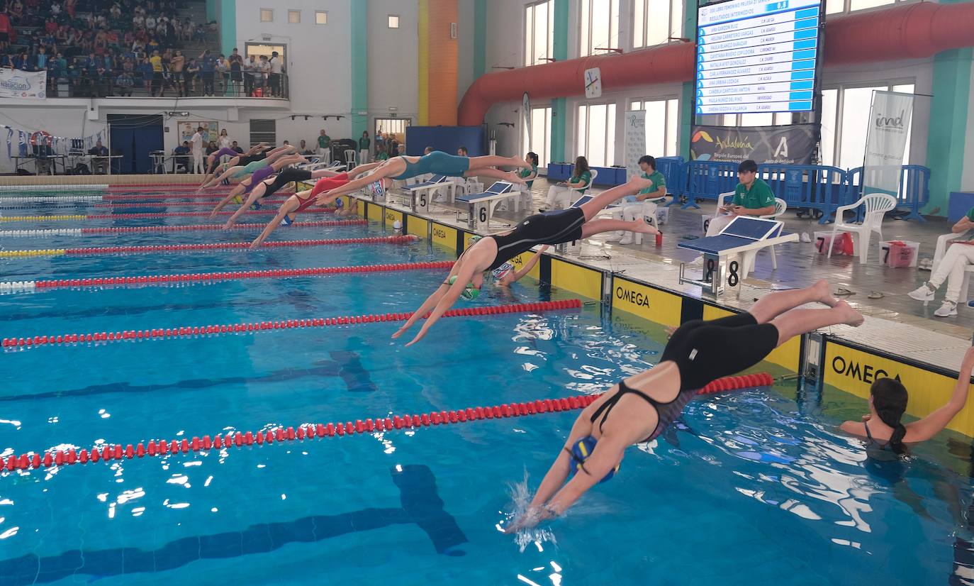 Fotos: Ambiente de gala en el campeonato andaluz de natación que se celebra en Cádiz