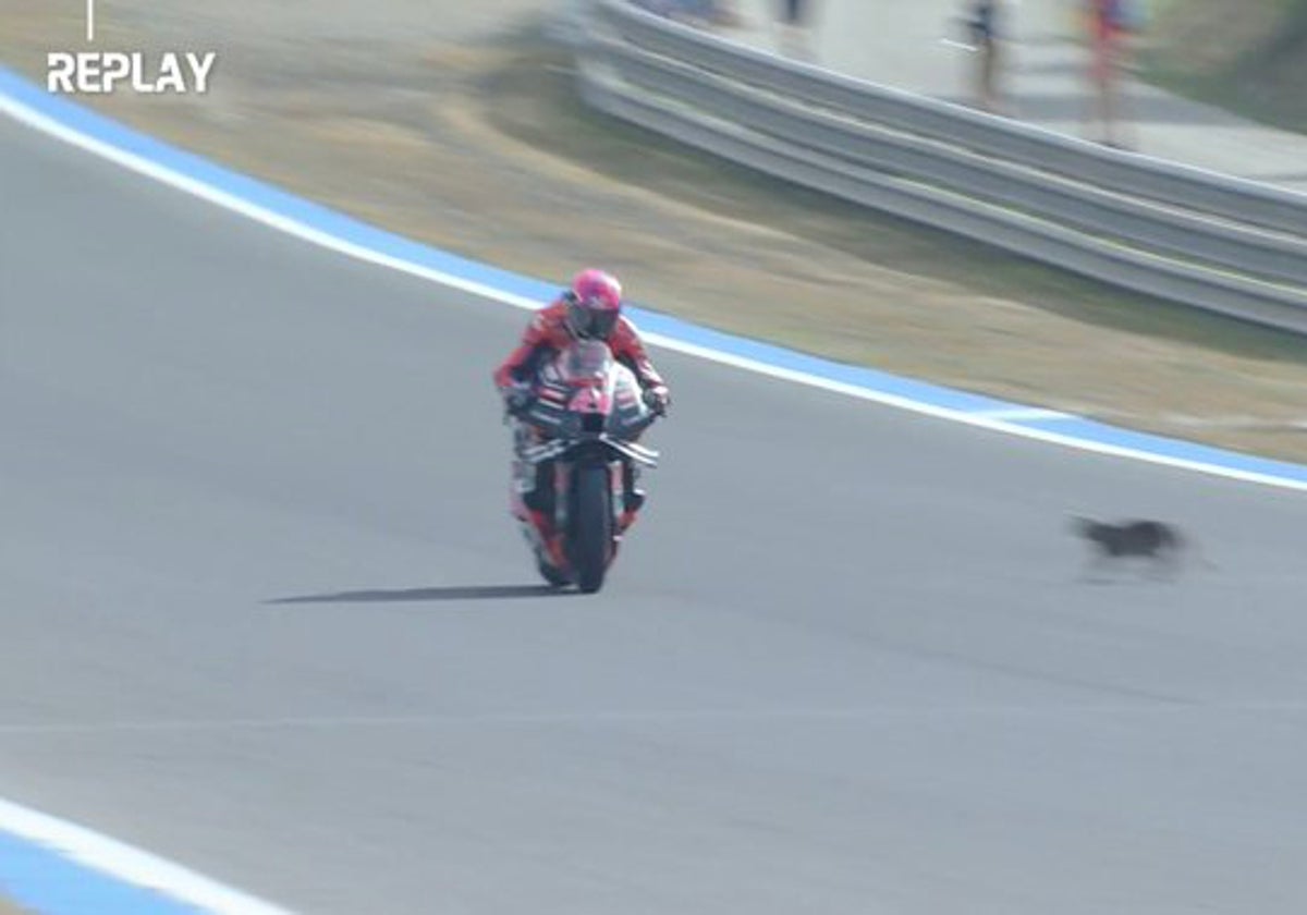 Momento en el que el gato se cruza por la pista del Circuito de Jerez - Ángel Nieto.