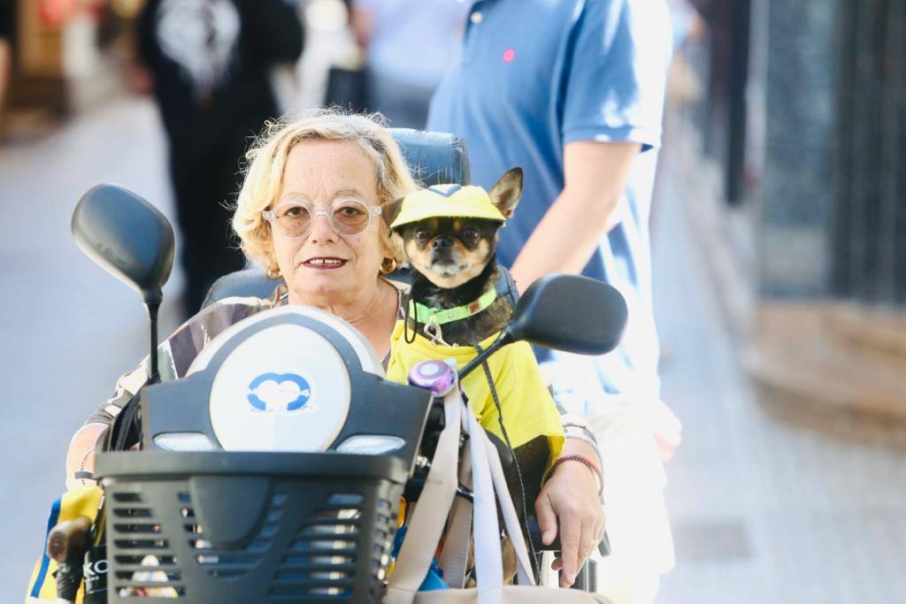 Cádiz despierta de amarillo en un nuevo amanecer de Primera