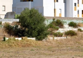 Las ruinas del vetusto Sancho Dávila en Puerto Real