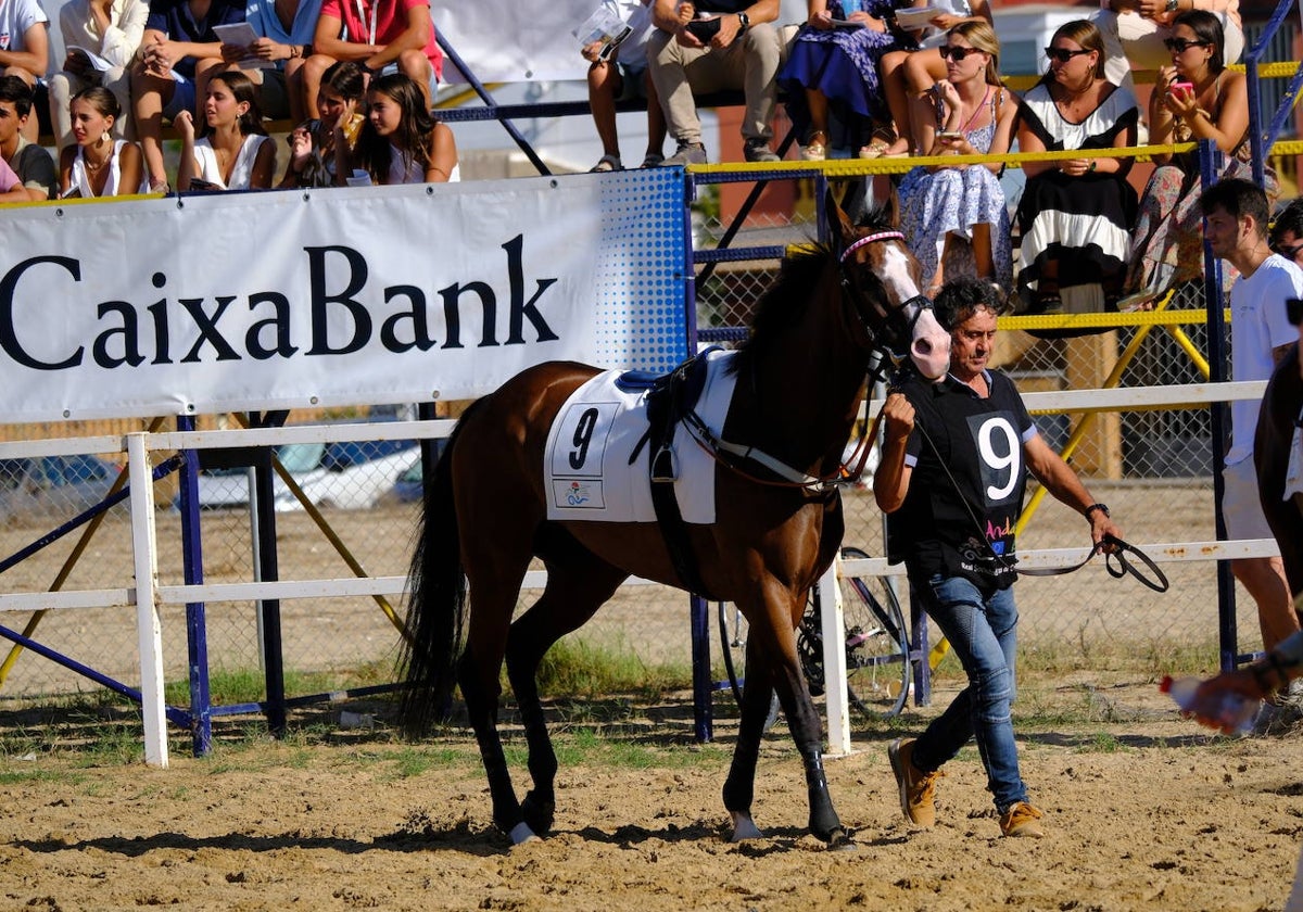 El primer ciclo de las Carreras de Caballos de Sanlúcar de Barrameda 2024 fue un auténtico éxito.