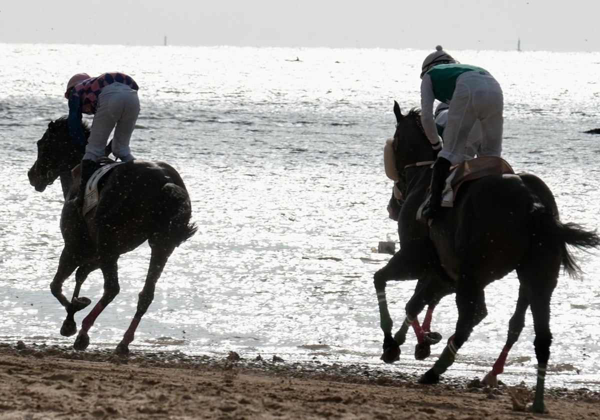 El segundo ciclo de las Carreras de Caballos de Sanlúcar de Barrameda ya ha empezado.