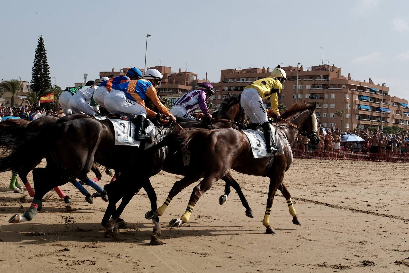 La primera carrera del segundo ciclo de las Carreras de Caballos de Sanlúcar en imágenes