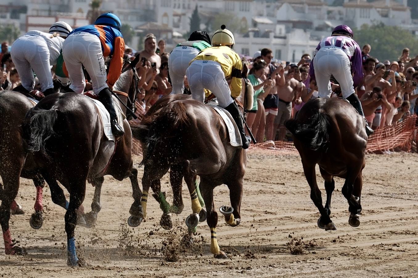 La primera carrera del segundo ciclo de las Carreras de Caballos de Sanlúcar en imágenes