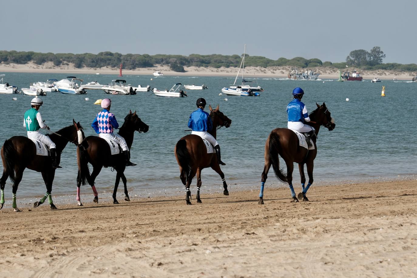 La primera carrera del segundo ciclo de las Carreras de Caballos de Sanlúcar en imágenes