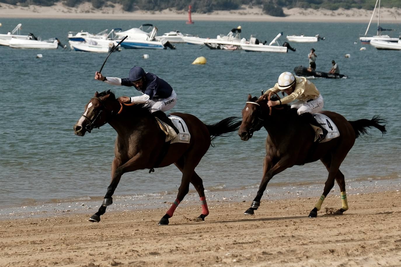 La primera carrera del segundo ciclo de las Carreras de Caballos de Sanlúcar en imágenes