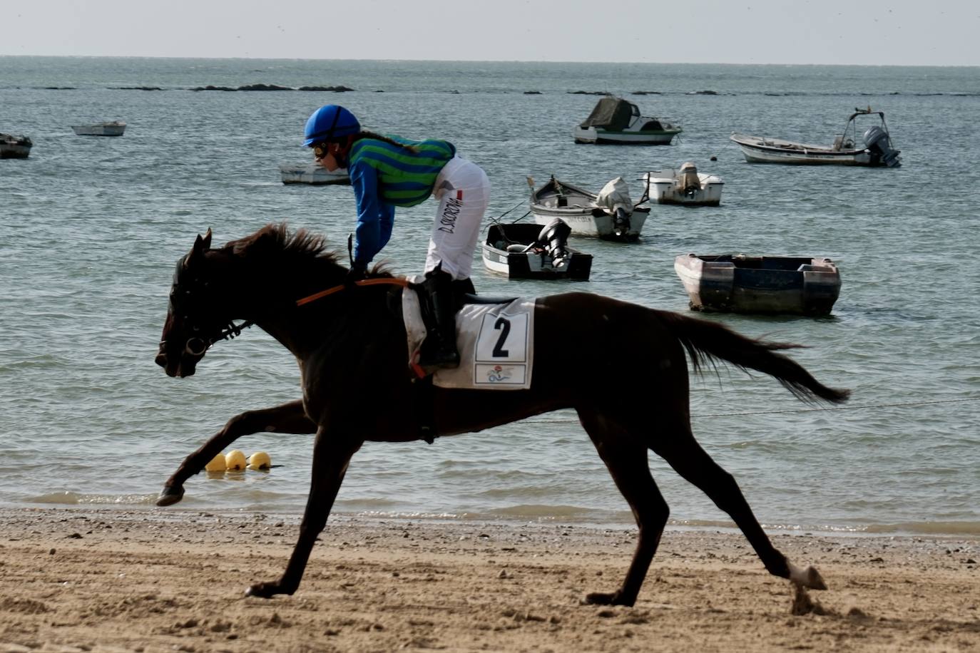 La primera carrera del segundo ciclo de las Carreras de Caballos de Sanlúcar en imágenes