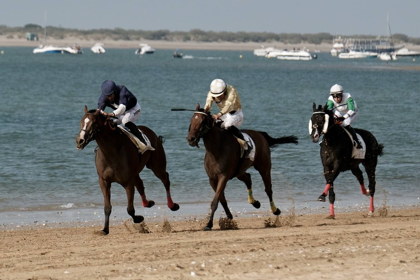 La primera carrera del segundo ciclo de las Carreras de Caballos de Sanlúcar en imágenes