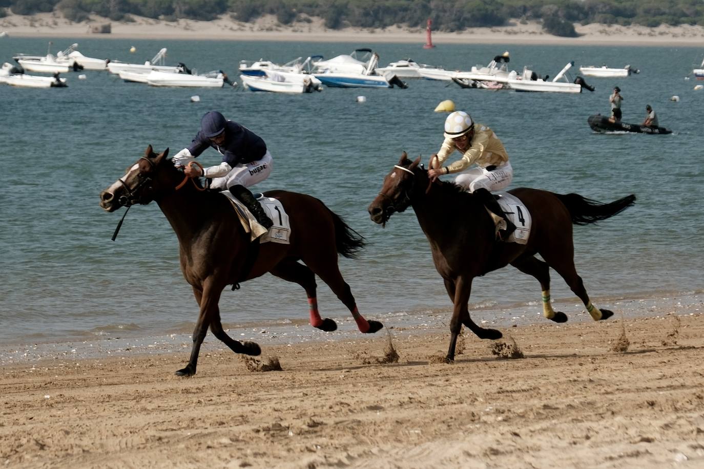 La primera carrera del segundo ciclo de las Carreras de Caballos de Sanlúcar en imágenes