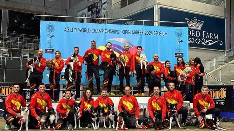 Ricardo Martínez y Fiby forman parte del equipo español en el Mundial de Agility que se está celebrando en Bélgica.