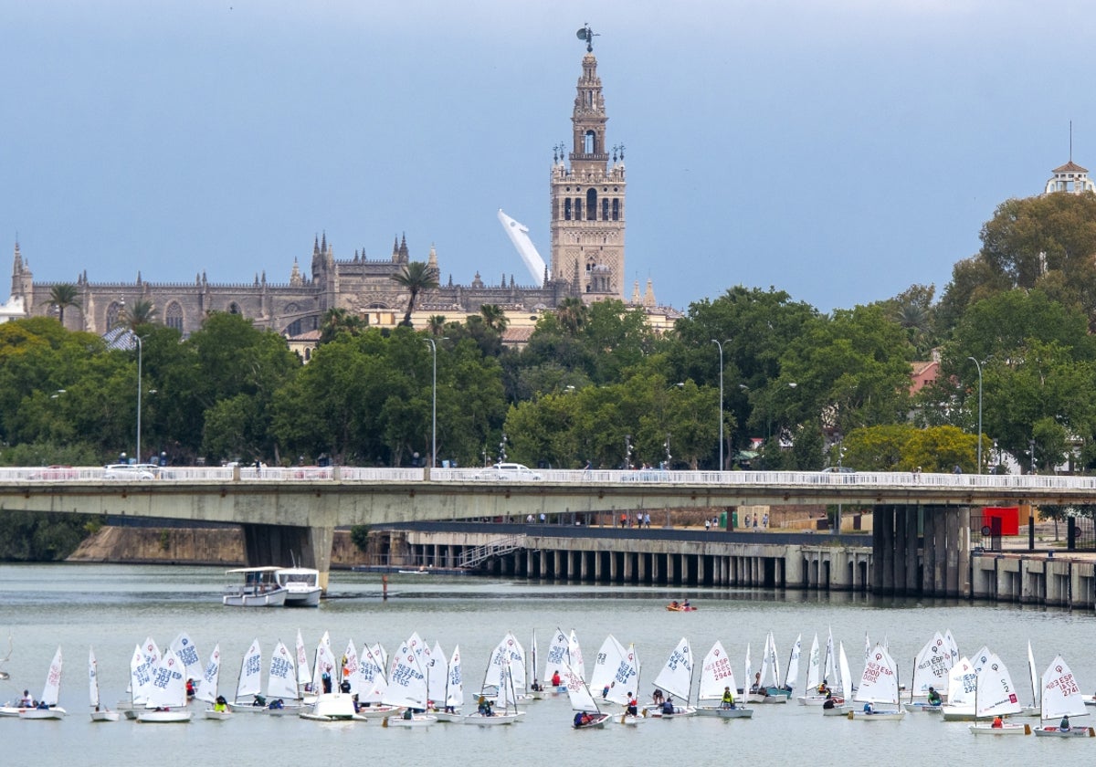 La competición se celebró en las aguas del río Guadalquivir.