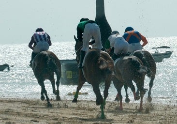 Guía de las carreras de caballos de Sanlúcar 2025: fechas, horarios y programación completa