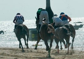 Guía de las carreras de caballos de Sanlúcar 2025: fechas, horarios y programación completa