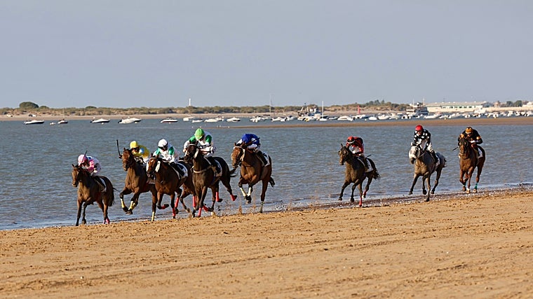 El Premio Cruzcampo, segunda carrera de la tarde, fue muy competitiva.