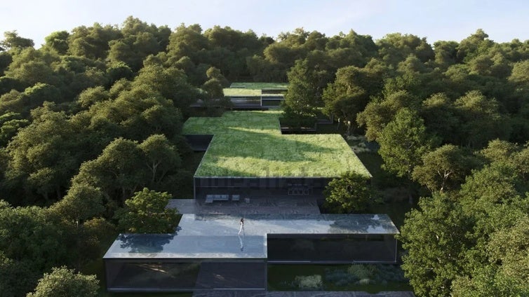 La casa más lujosa y 'escondida' de Cádiz sale a la venta: se encuentra camuflada en plena naturaleza