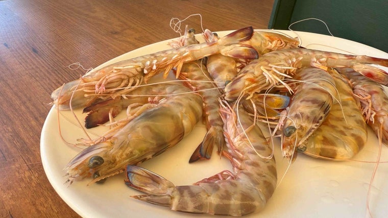 Ración de langostinos de Huelva en el restaurante Sarmiento