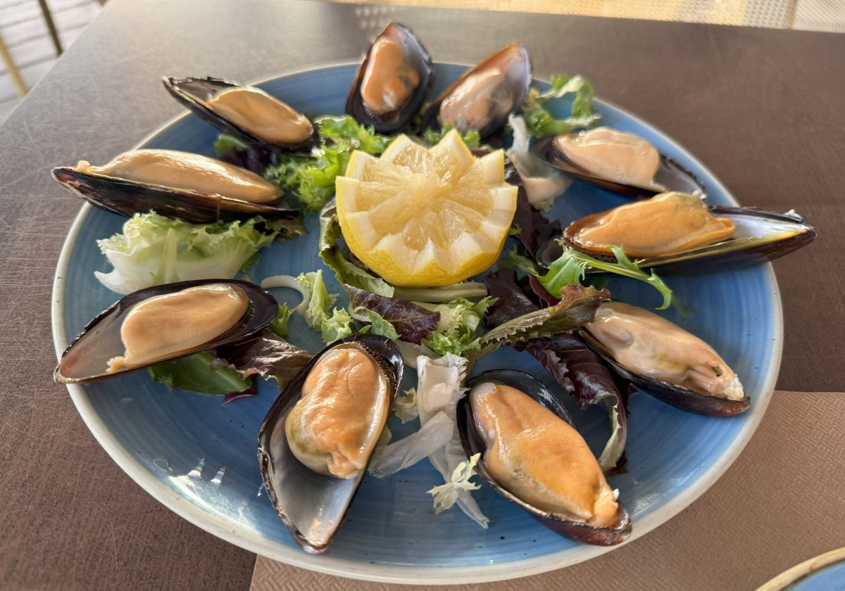 Mejillones en salmuera del chiringuito El Potito, situado en el Paseo Marítimo de Cádiz