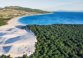 Panorámica de la playa de Bolonia en Cádiz