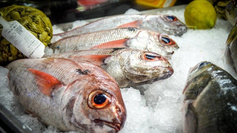 Pescado fresco en Casa Bernardo