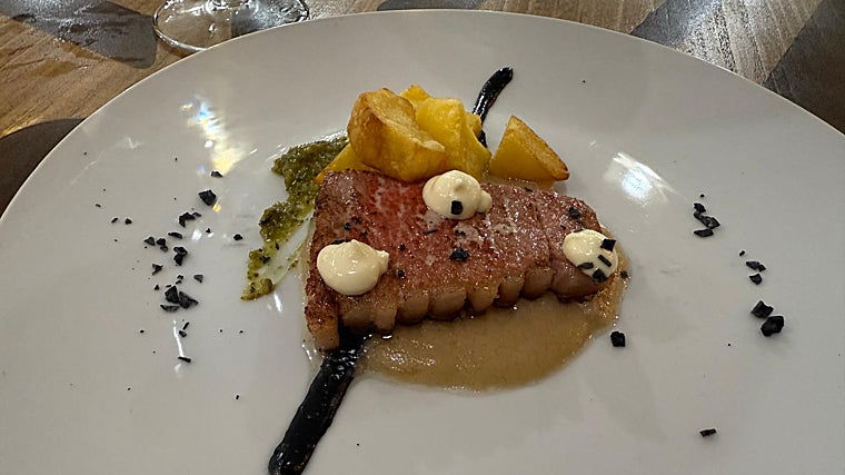 Propuesta de Suber durante el verano de 2025