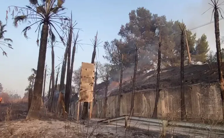 El incendio de Jerez obliga a desalojar varias viviendas y el Monasterio de la Cartuja