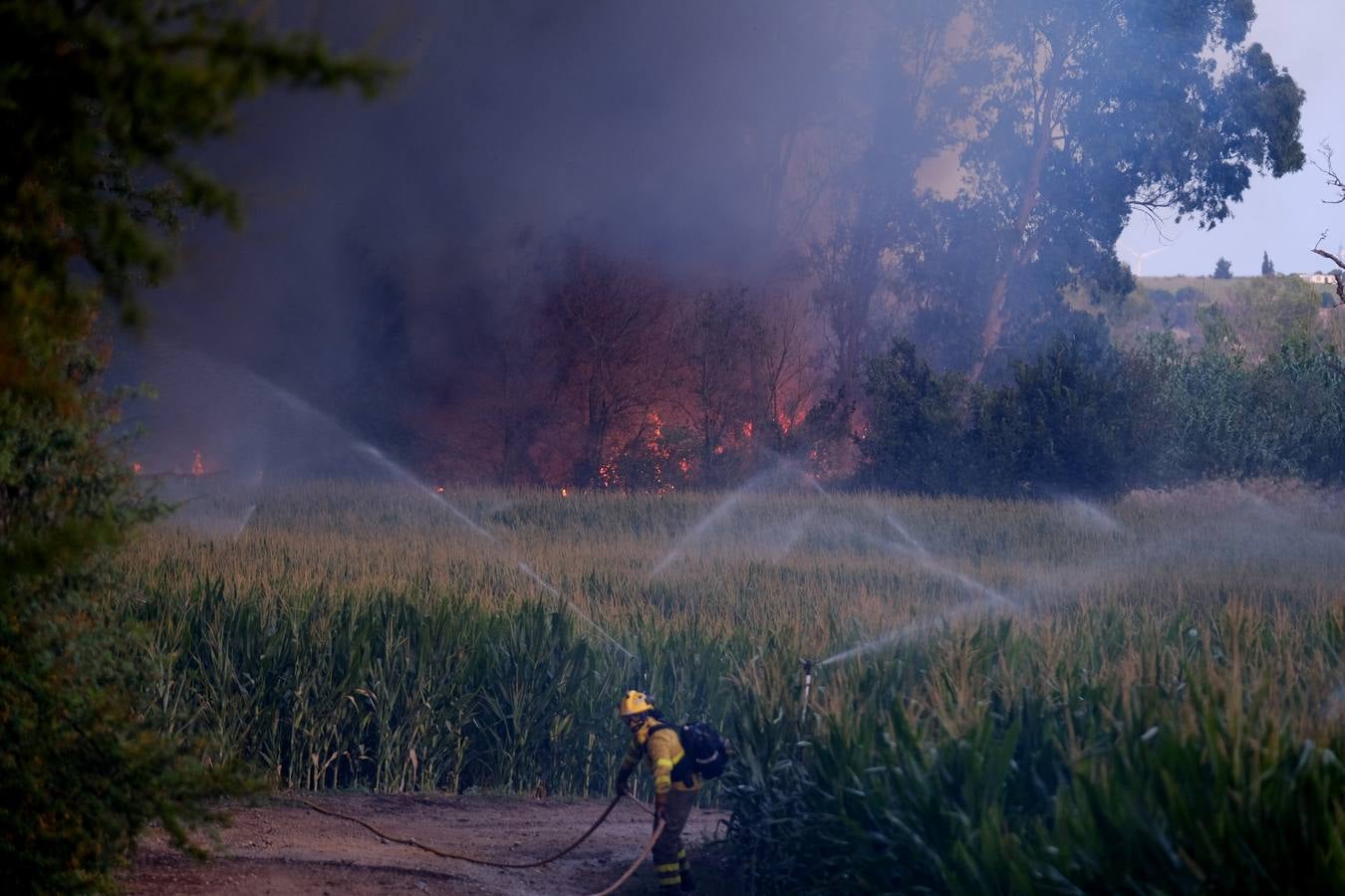 El levante ha dificultado el control del fuego en Jerez