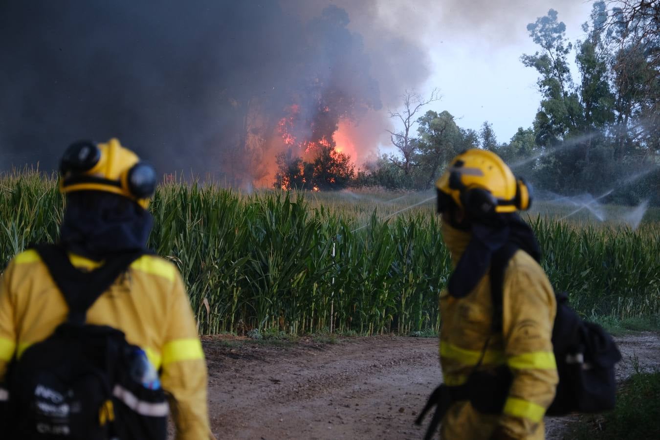 El levante ha dificultado el control del fuego en Jerez