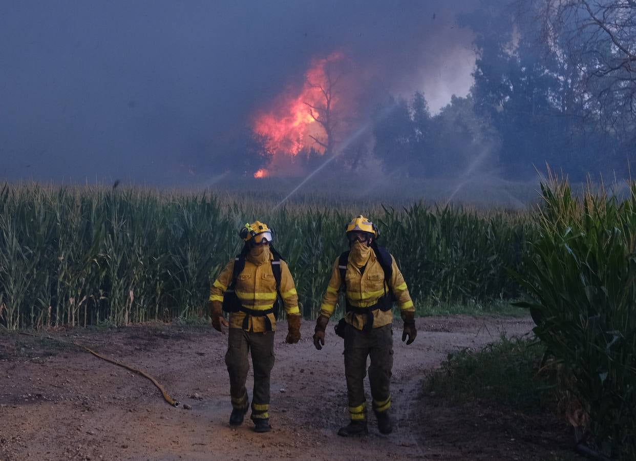 El levante ha dificultado el control del fuego en Jerez