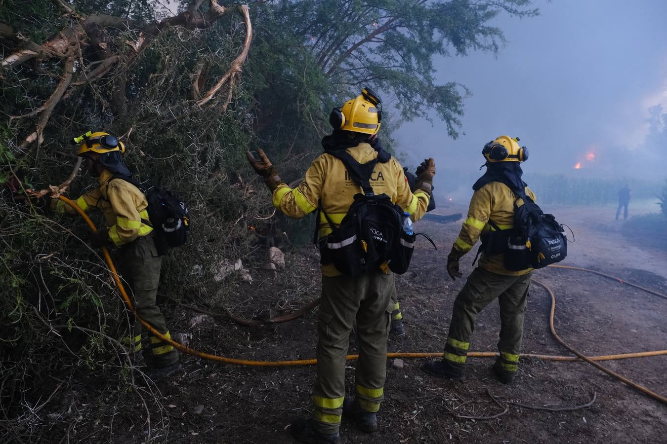 El levante ha dificultado el control del fuego en Jerez