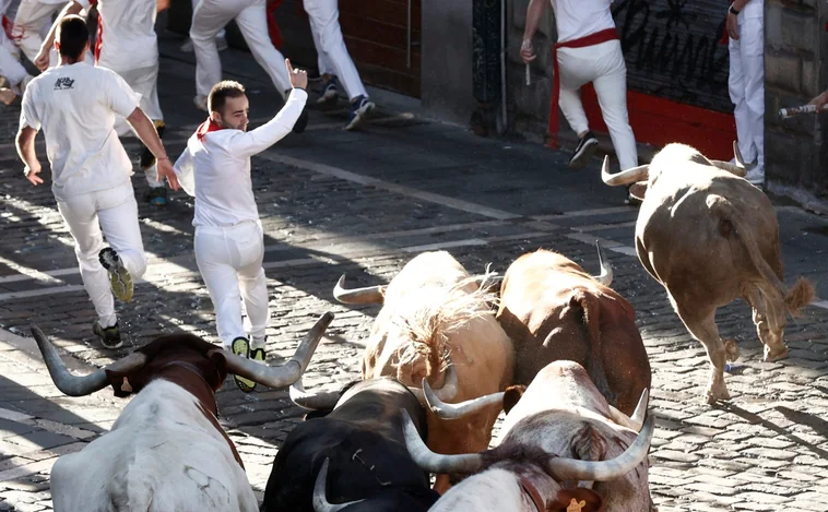 Los toros gaditanos que triunfaron en San Fermín