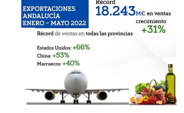 La provincia de Cádiz lidera las exportaciones andaluzas que crecen un 31 por ciento