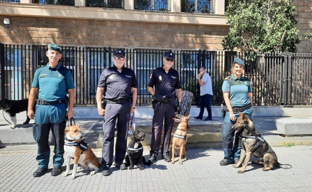 Surco, a la izquierda en la jornada organizada por la Subdelegación del Gobierno.