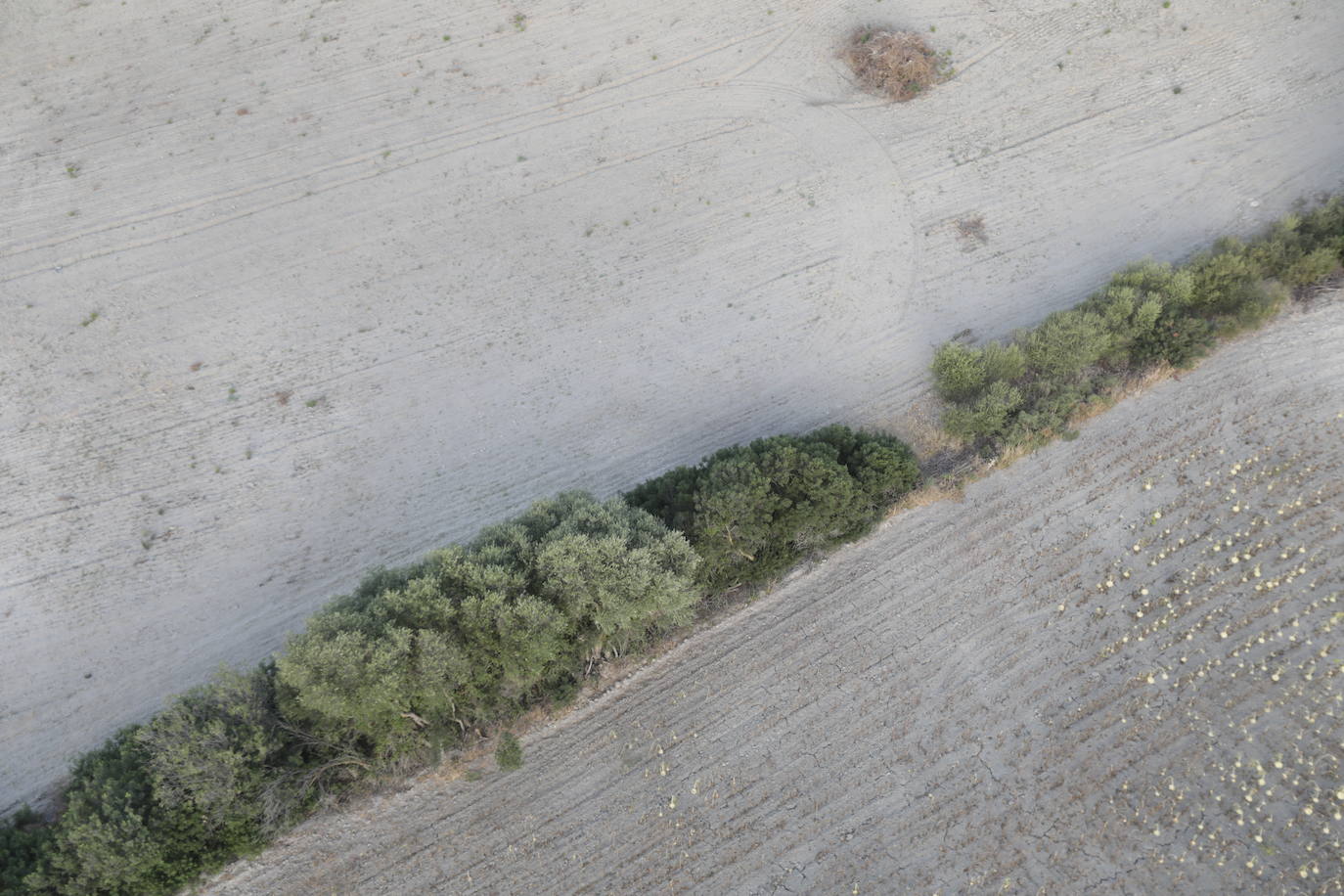 Fotos: la Sierra de Cádiz a vistas de pájaro