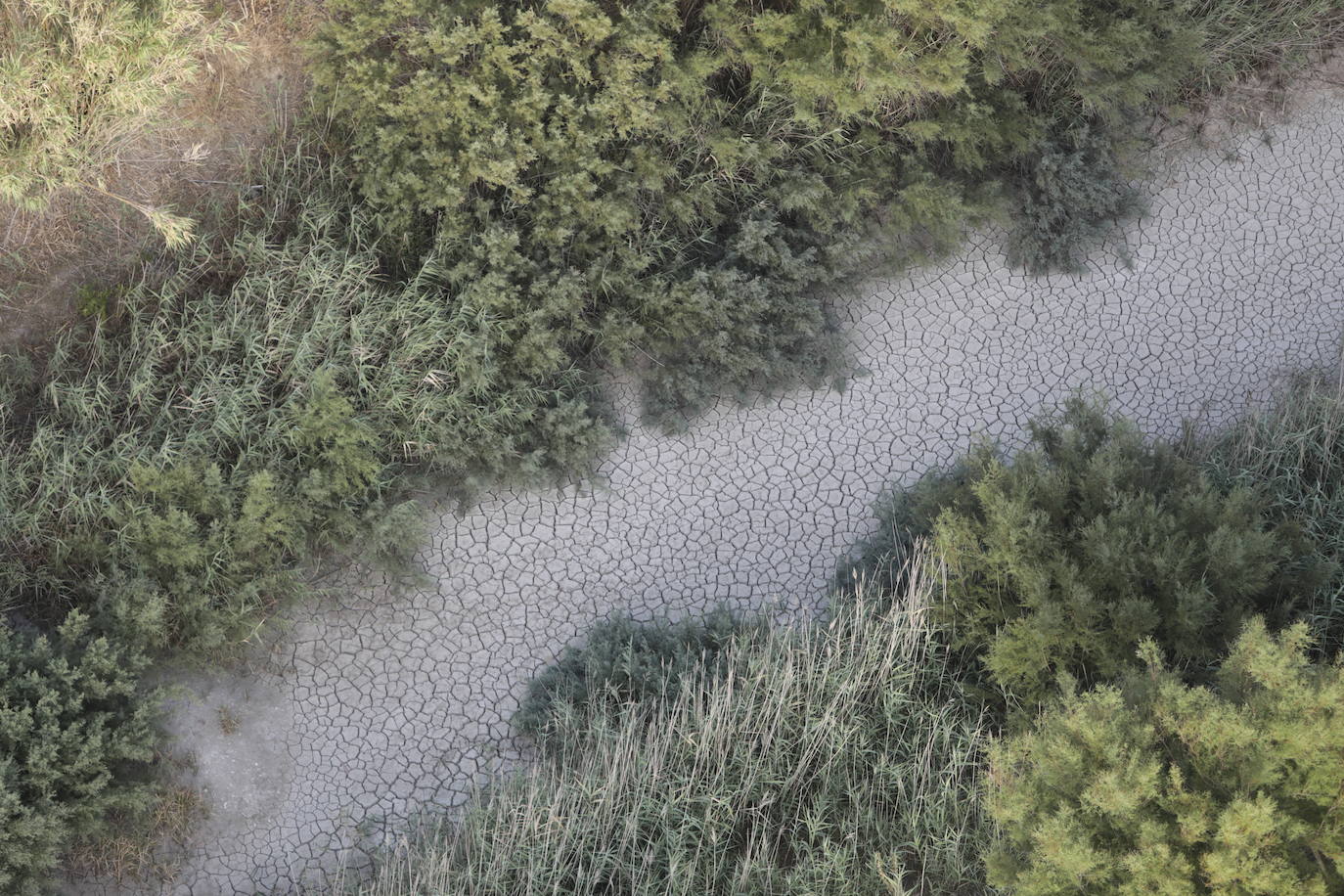 Fotos: la Sierra de Cádiz a vistas de pájaro