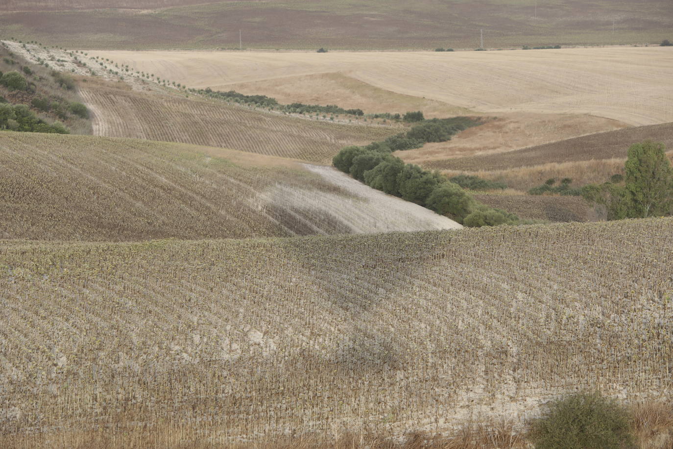 Fotos: la Sierra de Cádiz a vistas de pájaro