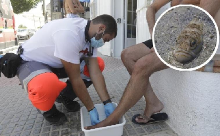 Setenta atenciones sanitarias por picaduras de pez araña en Chiclana en un solo día