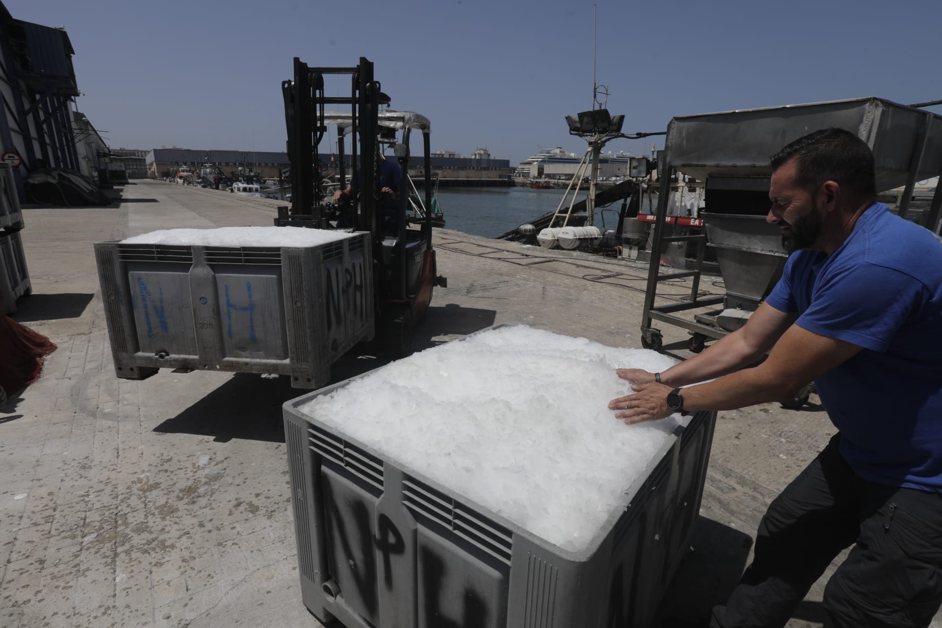 El hielo, un bien preciado