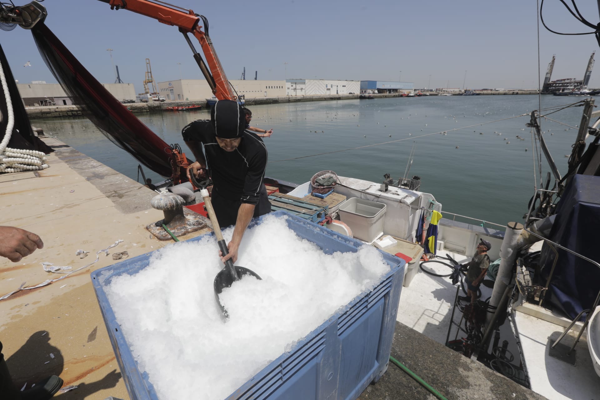 El hielo, un bien preciado