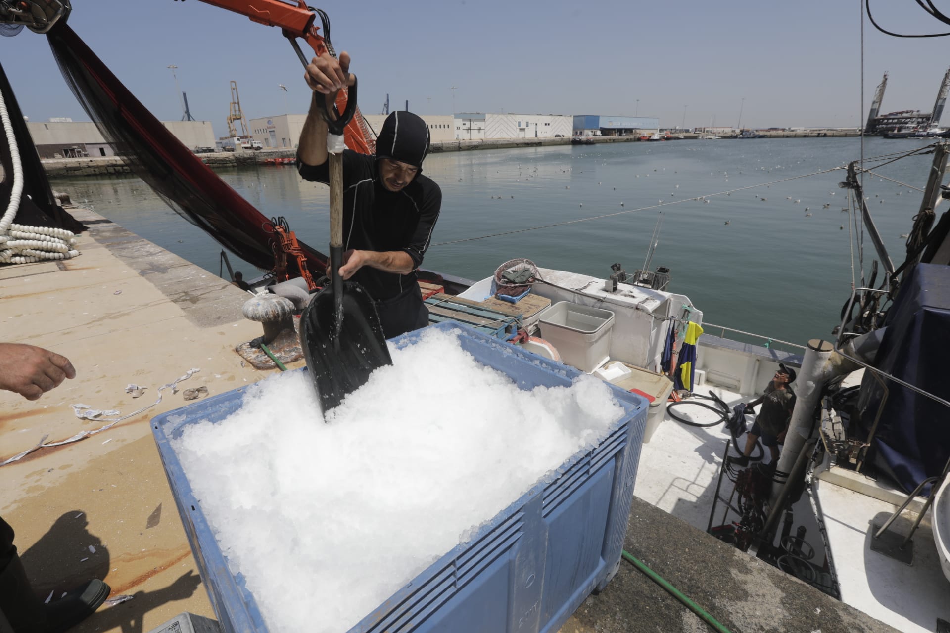 El hielo, un bien preciado