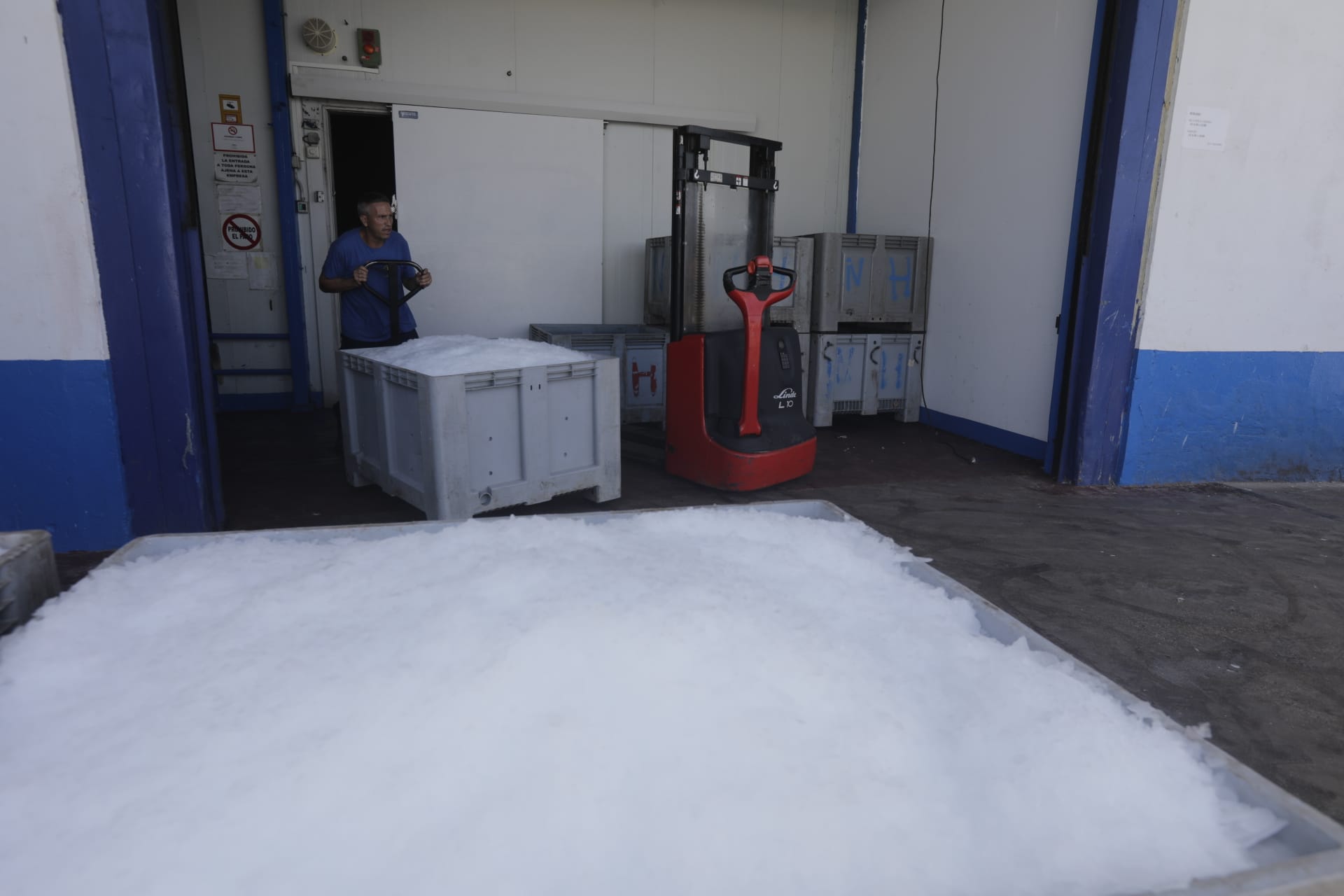 El hielo, un bien preciado