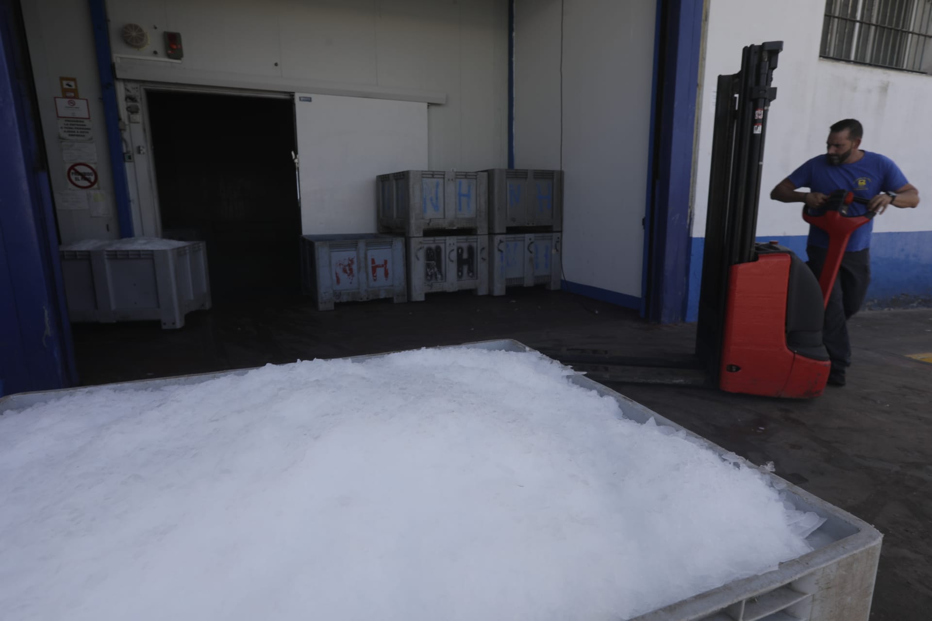 El hielo, un bien preciado