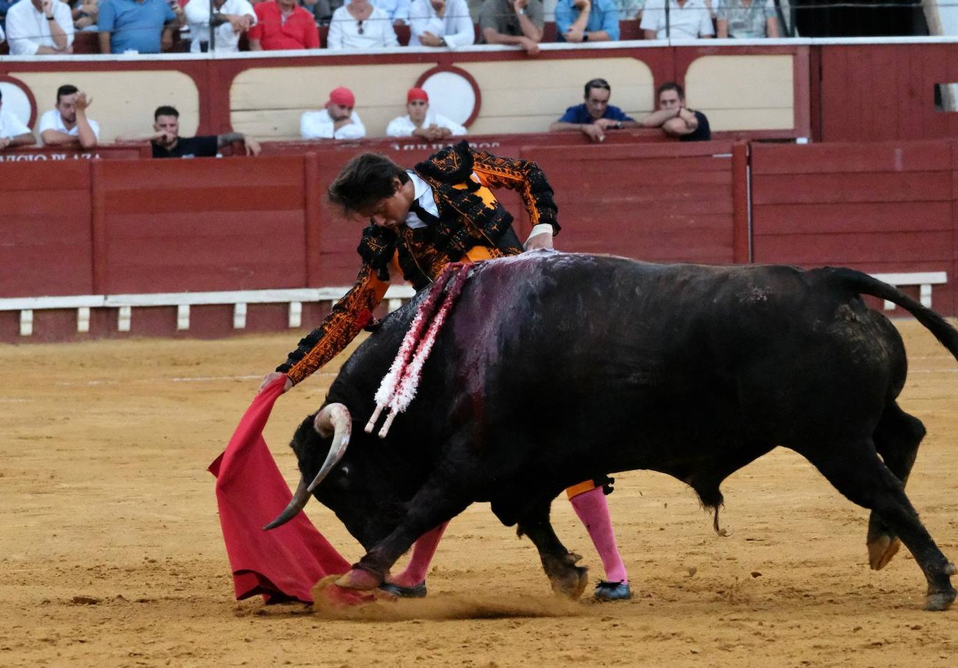 Toros en El Puerto