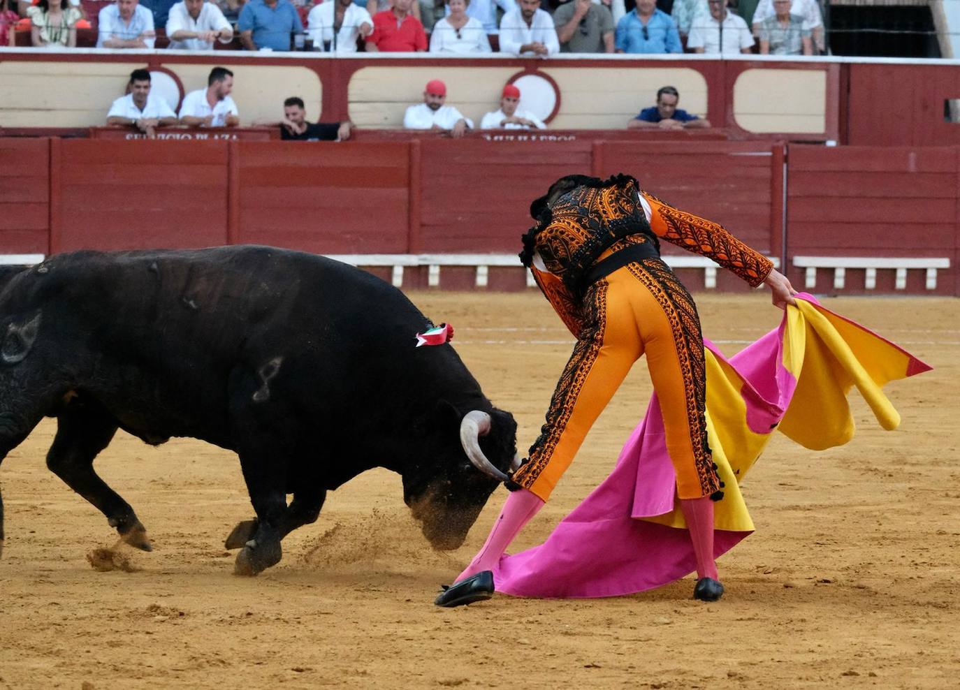 Toros en El Puerto