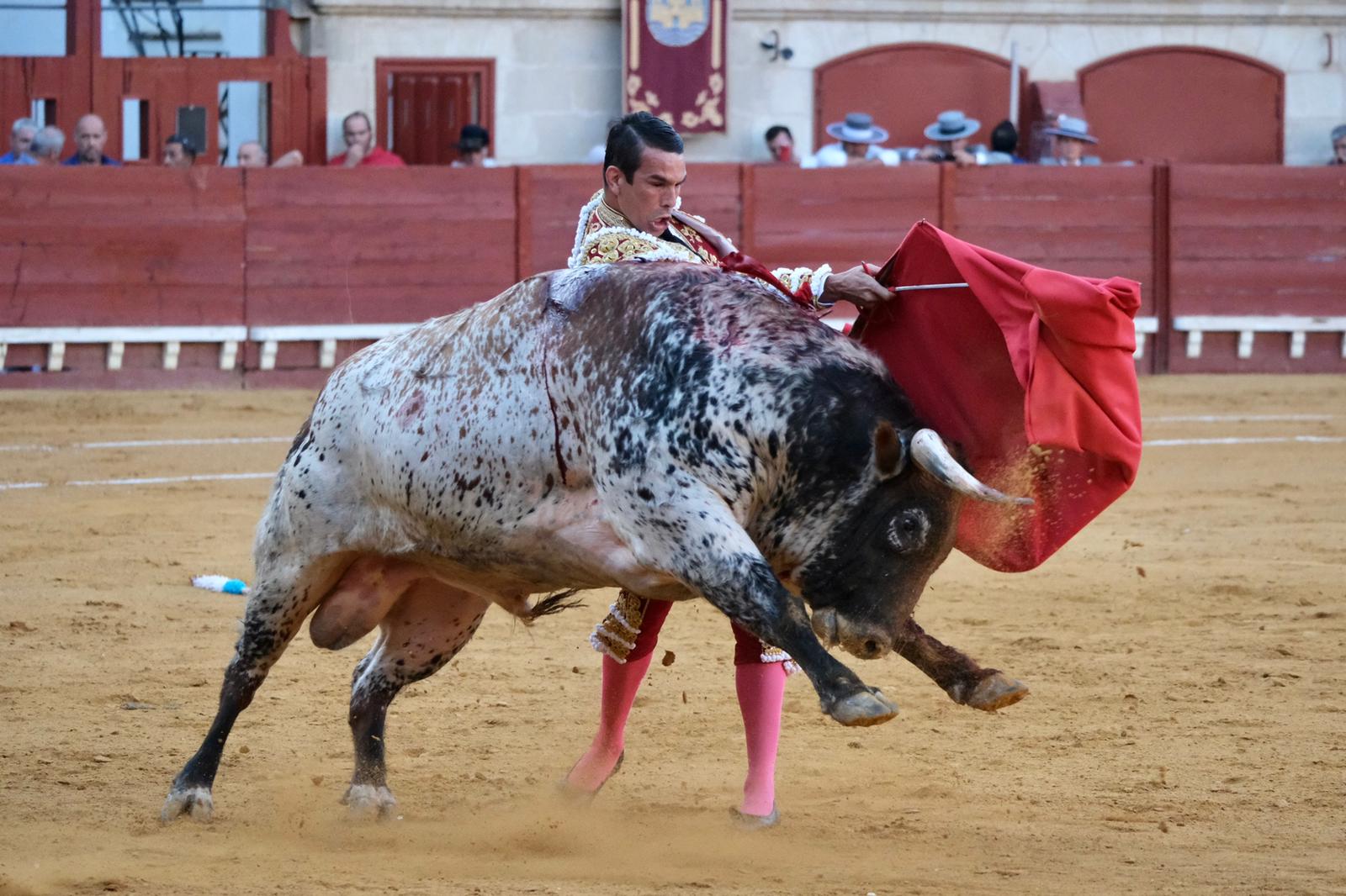 Toros en El Puerto